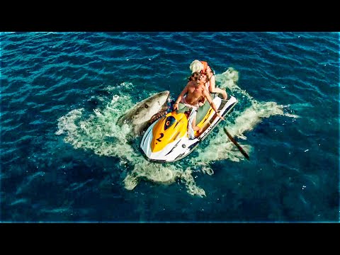 The Jet Ski Broke Down At Sea After an Accident, And They Spent 2 Days Evading Sharks - RECAP