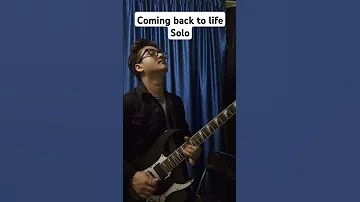 pink Floyd - coming back to life(guitar solo cover).  #comingbacktolife #pinkfloyd #davidgilmour.