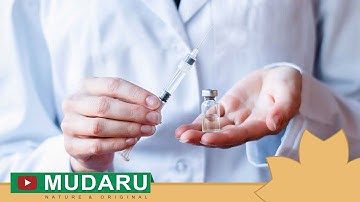 Kiểm soát tốt bệnh tiểu đường với Khổ qua rừng Mudaru