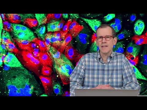 Related Embedded Video Item Thumbnail