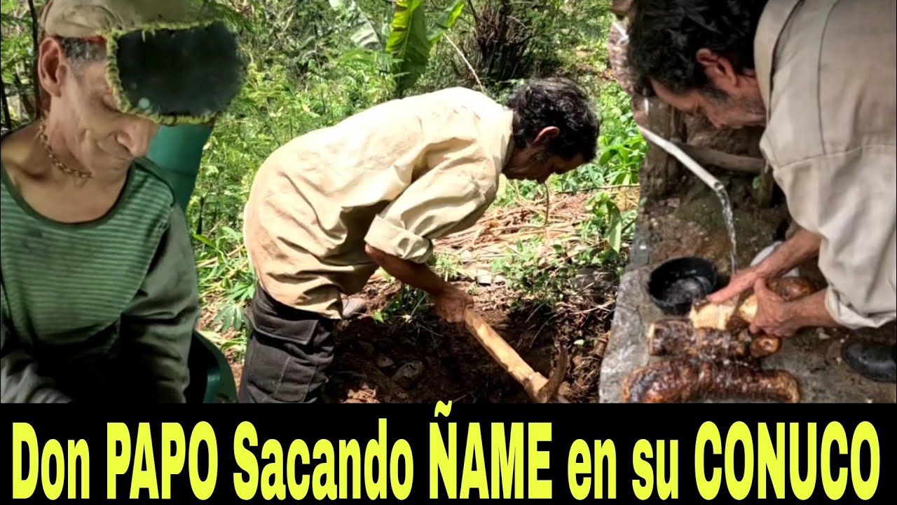 Don PAPO Sacando ÑAME y el NEGRO no puede perder ni un minuto de CLASE