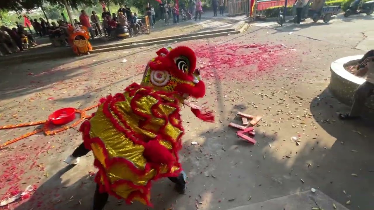 第一侨乡台山市槐湖村2026年2月22日年初六拜祖瑞狮众人标