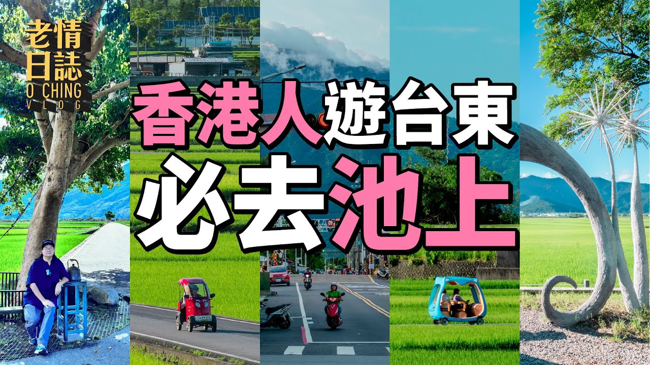 【老情日誌】香港人遊台東，必去池上！玩足一日都未夠！｜伯朗大道｜金城武樹｜天堂路｜池上書店（中文字幕）