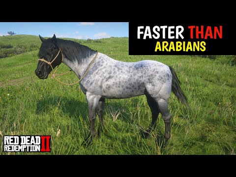 4 Horses faster than Arabains & How to obtain them - Red Dead Redemption 2