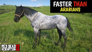 4 Horses faster than Arabains & How to obtain them  Red Dead Redemption 2