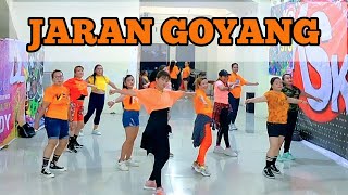 JARAN GOYANG | NELLA KARISMA | DANGDUT REMIX | CHOREO ZIN CHICIE screenshot 3