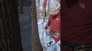 Never Drop Your Figure 8 Rappel Device Again #rappel #saddlehunting #treeclimbing #hunting