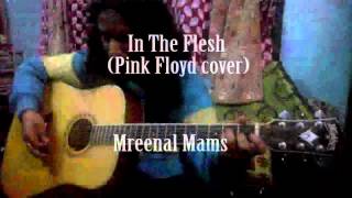In The Flesh (Pink Floyd cover) - Mreenal Mams