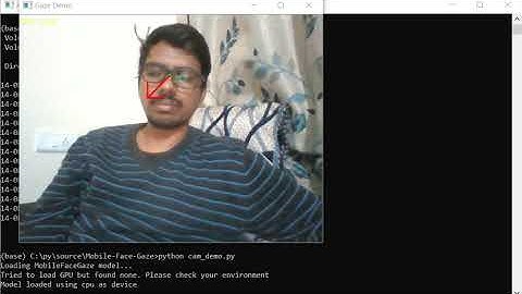 Gaze Follow/ Gaze Estimation