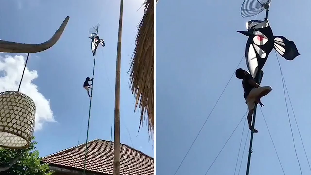 Fearless Man Climbs Satellite Pole To Retrieve Kite