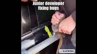 Celebrity junior developer fixing bugs Wealth