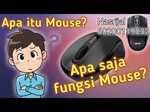 Video: Apa Itu Mouse Komputer?