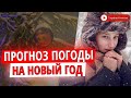 Синоптики обновили прогноз погоды на Новый год в Украине