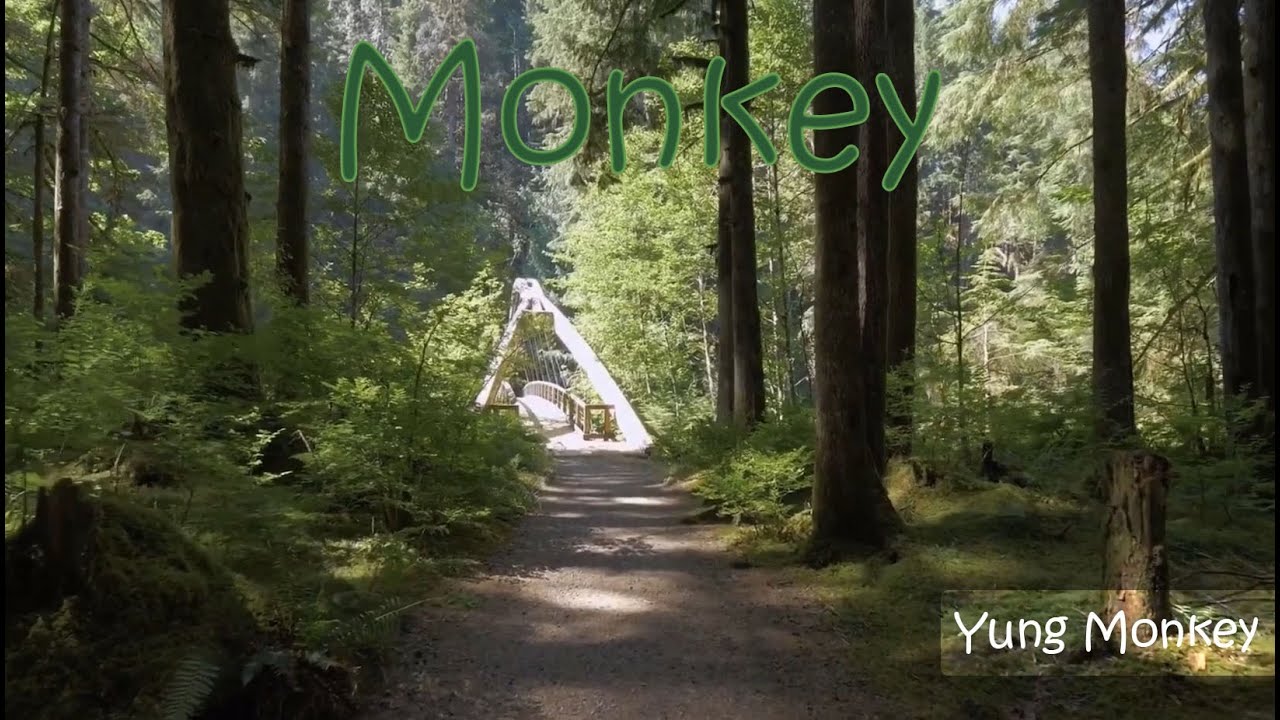 Coldplay Monkey Video | Coldplay Animators Mathematic – VINHBX