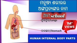 Manusya saririr angar sankhya/Human body Gk / body parts sanky/Sadharan Gyan /Gk Questions