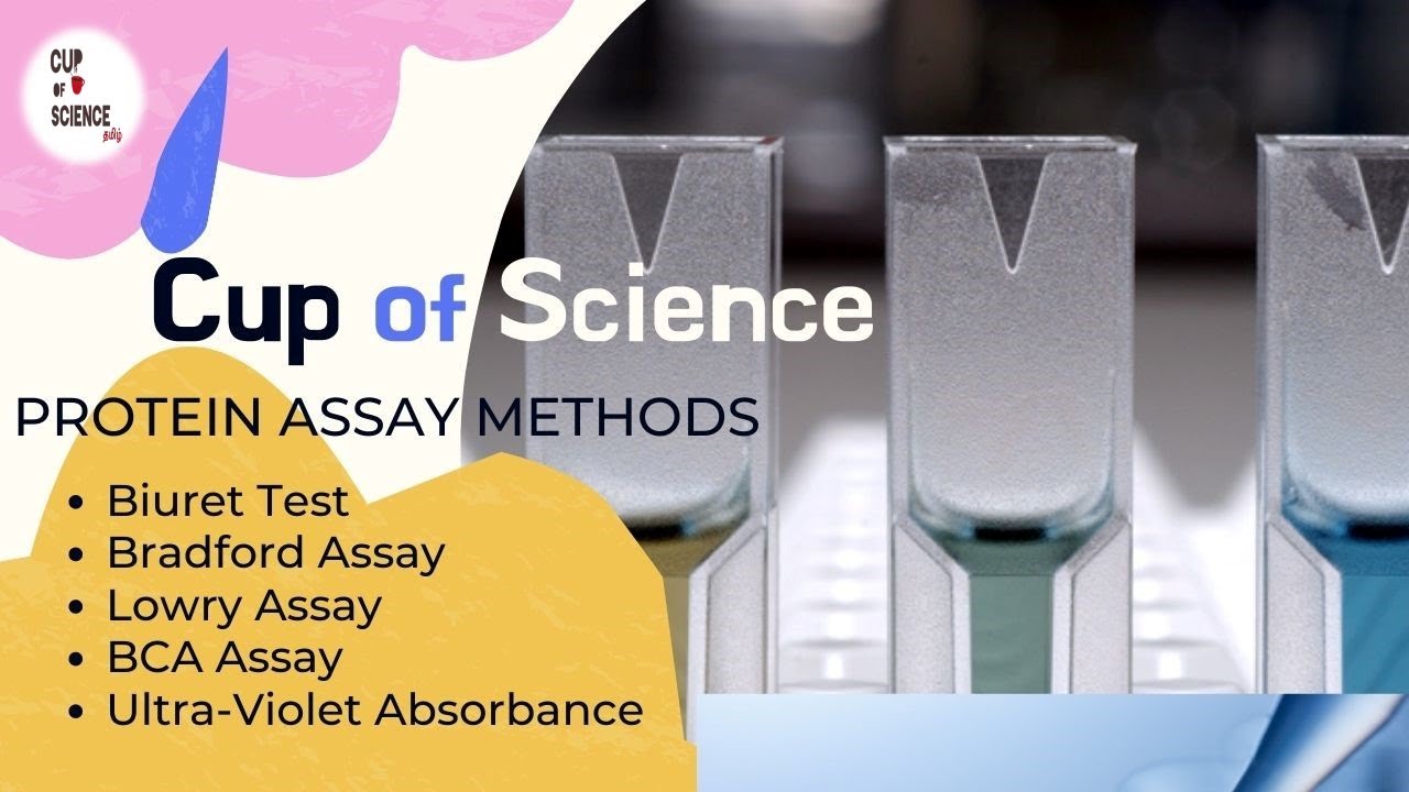 Protein Assay Methods Biuret Bradford Lowry BCA UV COS in