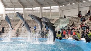 「うみはともだちセレモニー」仙台うみの杜水族館
