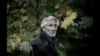 Servet Kocakaya-Hoy Zemano