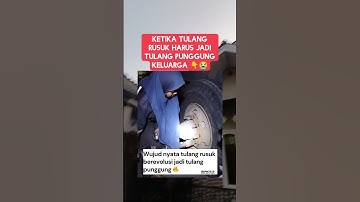 ketika tulang rusuk harus jadi tulang punggung‼️ #shorts #short #shortvideo #trendingshorts