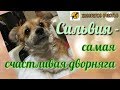 VLOG: Сильвия - самая счастливая собака