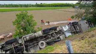 Camion di maiali si ribalta sulla tangenziale di Piadena