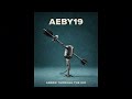 AEBY19 Wazir Arrow Through The Mic