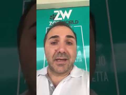 Video: Vieni a trovarci a Global!