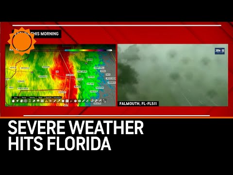 Severe Weather Hits Tallahassee, Florida - High Winds Knock Down Trees