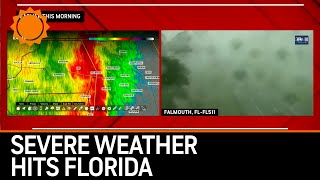 Severe Weather Hits Tallahassee, Florida - High Winds Knock Down Trees