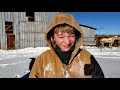 Morning Chores | Feeding Horses | Playing in the snow