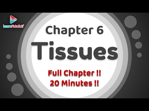 Class 9 Science Tissues Oneshot Full Chapter In 20 Minutes!! - Learnfatafat