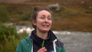 Pearl Mussel Project Feature On Ear To The Ground November 2020