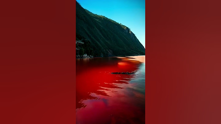 Red Blood River Appears ! A Prophetic Sign of the End of the World?!