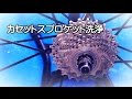 【カセットスプロケット】汚れてる掃除しましょ!
