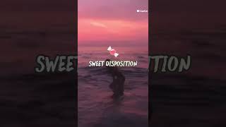 Sweet disposition remix #afrohouse #beach #music