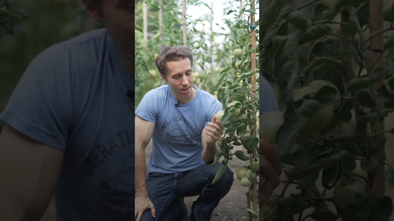 If you don’t know where your food comes from, you’re rolling the dice with your health.