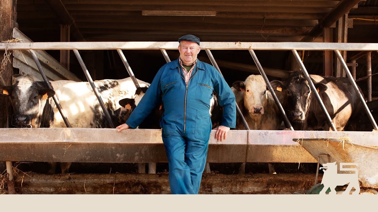 Oost-Vlaanderen in de kijker: ontdek mals rundvlees van Raf uit Lede