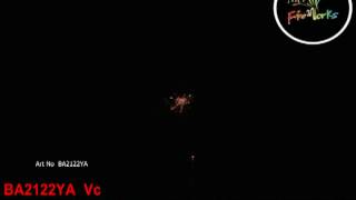 BA2122YA