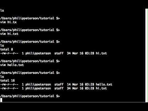 Bash Scripting Tutorial 3 - The * wildcard, dangerous commands, basic output redirection, cat