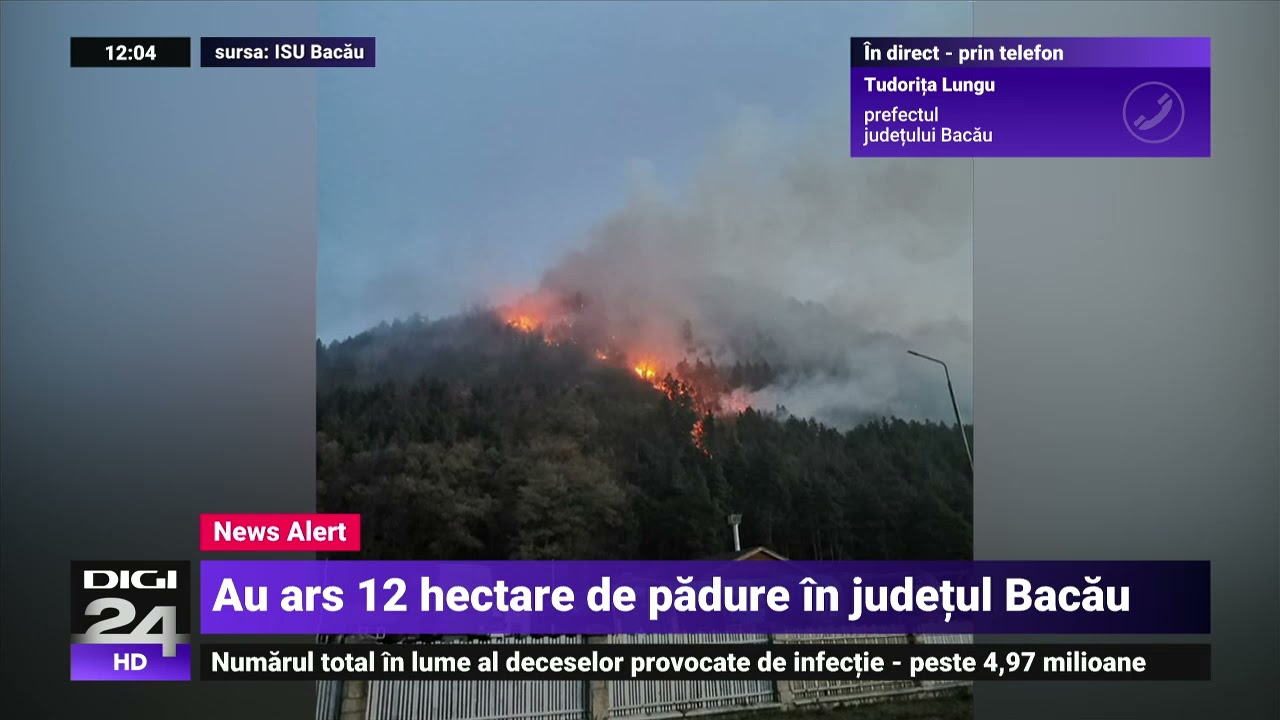 O pădure din Oituz arde de mai multe ore. Intervenția pompierilor e dificilă - Digi24