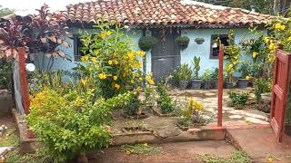 MOSTRANDO UM POUQUINHO DO MRU QUINTAL  APEDIDO DOS AMIGOS AQUI DO CANAL 