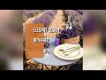 Luxury gold plastic dinnerware set & gold party plates set, elegant for all parties and events!