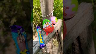 Birthday Chocolate Candy Magic Treat Box 🎁🍫 | Oddly Satisfying ASMR Experience #shorts #satisfying