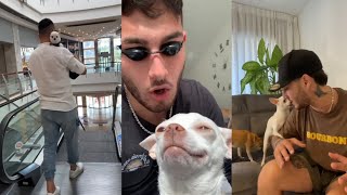 SPECIAL NIKI CHIHUAHUA AND MURAT NOYAN | Niki's (mreviatar)& MURAT NOYAN first videos on tiktok. by Daily dose of dogs 17,250 views 8 months ago 1 minute, 13 seconds
