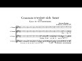 Brahms: Canons, WoO 24–30 (with Score)