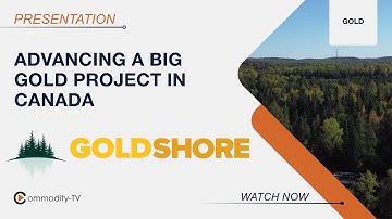 Goldshore Resources: Advancing a Large Gold Project in Canada with Great Potential