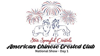 American Chinese Crested Club National  Day 1