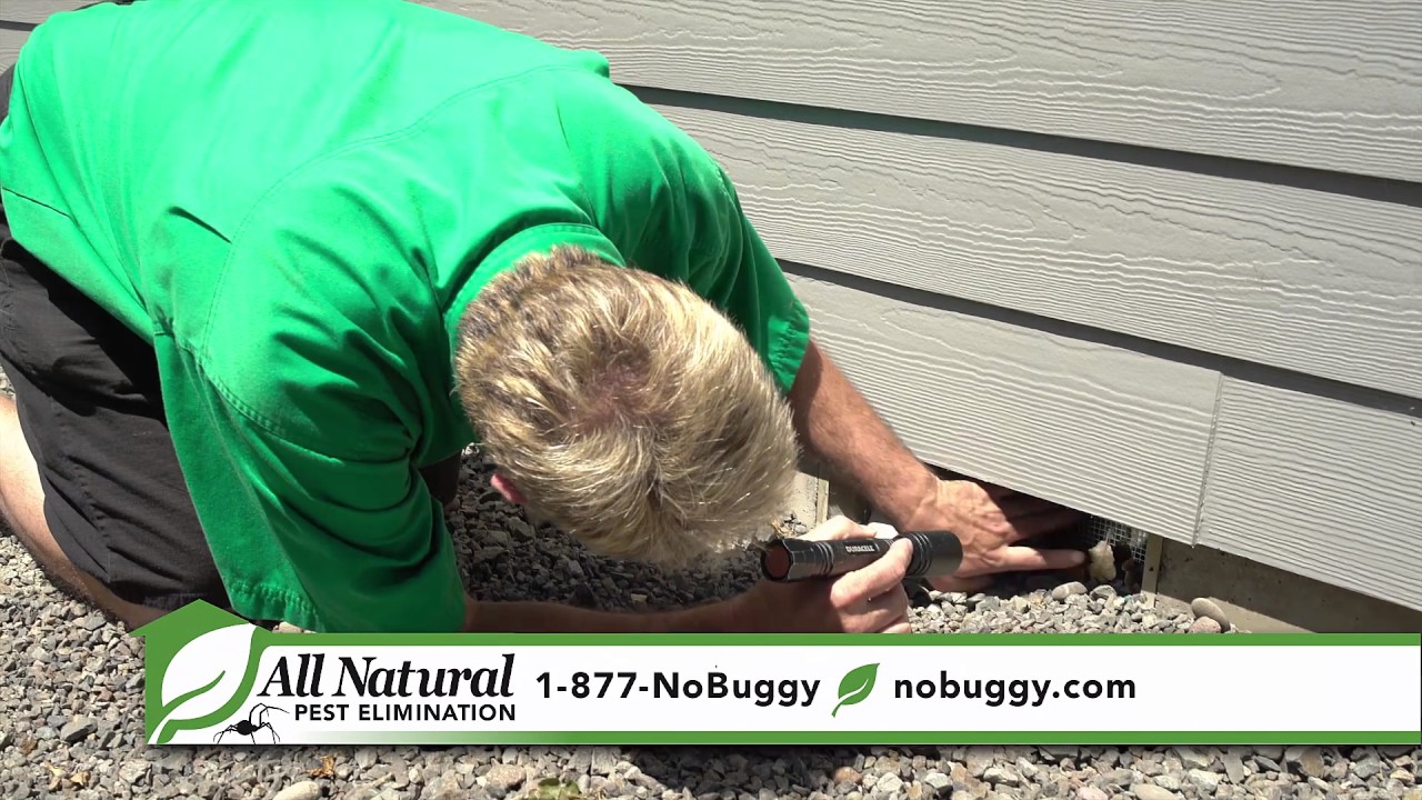 Oregon S 1 Natural Pest Control Since 1991 You Oregon S 1 Natural Pest Control Since 1991