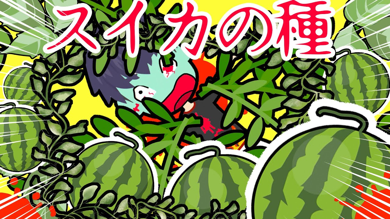 A boy swallows a watermelon seed during summer vacation and
