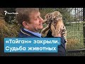 «Тайган» закрыли. Что будет с животными? | Крымский вечер